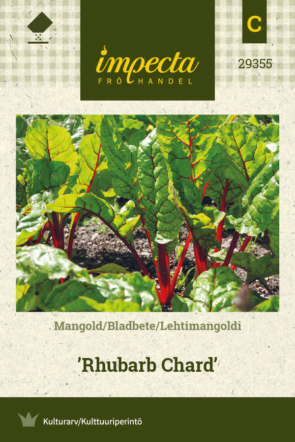 Frø: Mangold 'Rhubarb Chard'