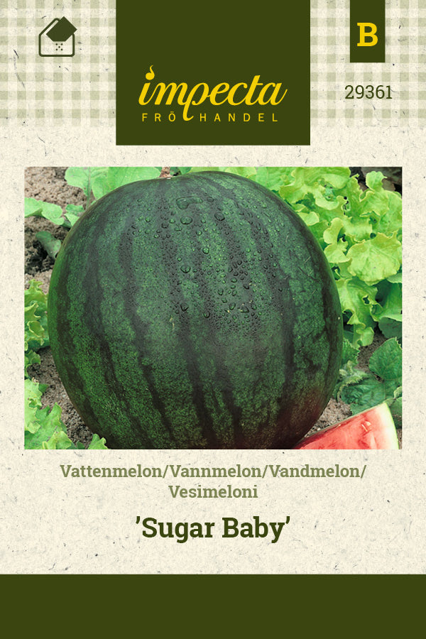 Frø: Vandmelon 'Sugar Baby'