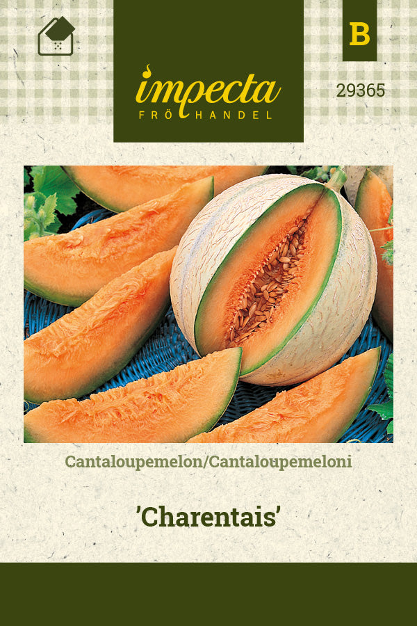 Frø: Cantaloupe-melon 'Charentais'