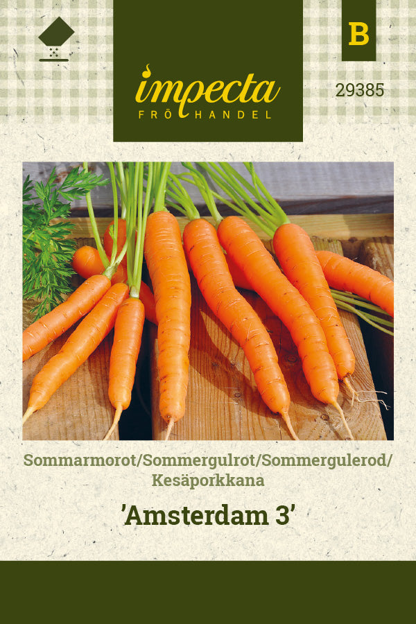 Frø: Sommergulerod 'Amsterdam 3'