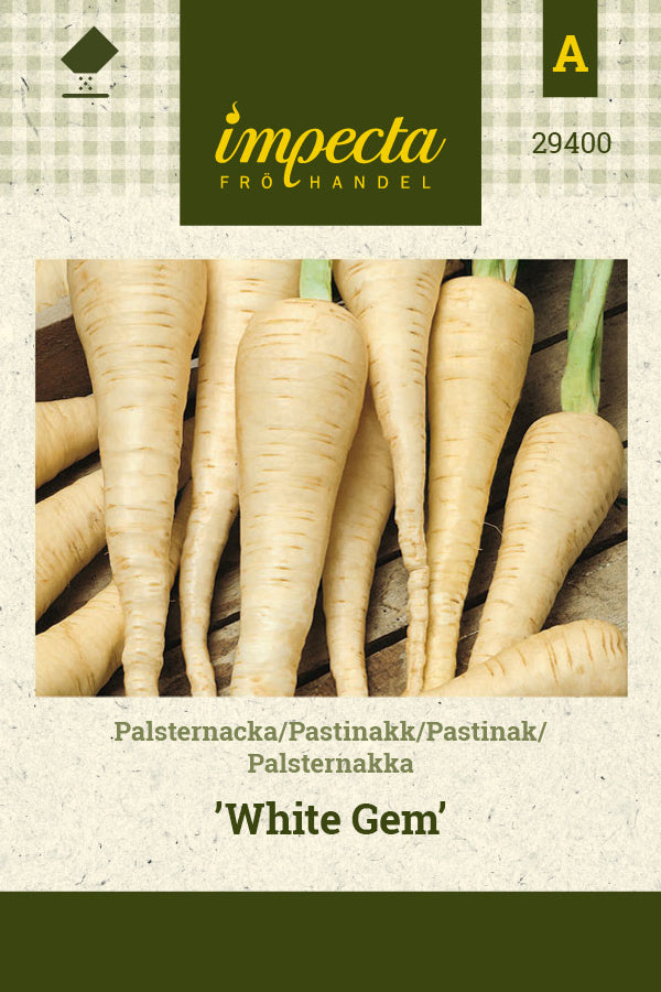 Frø: Pastinak 'White Gem'