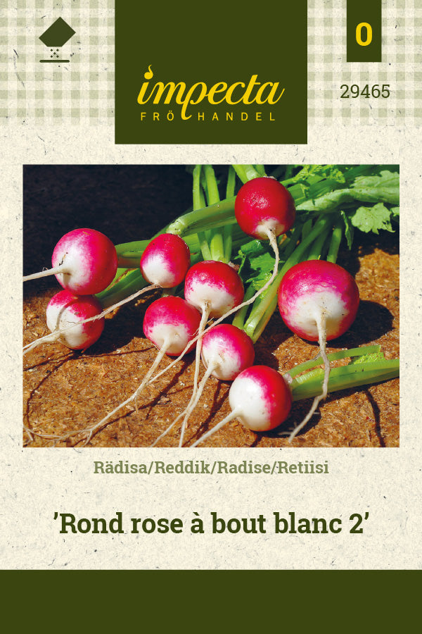 Frø: Radise 'Rond rose à bout blanc 2'