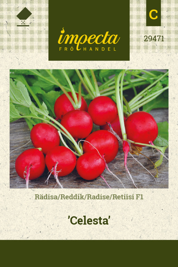 Frø: Radise F1 'Celesta'