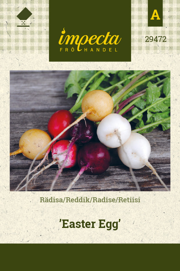 Frø: Radise 'Easter Egg'