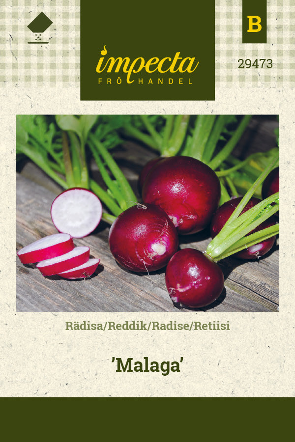 Frø: Radise 'Malaga'
