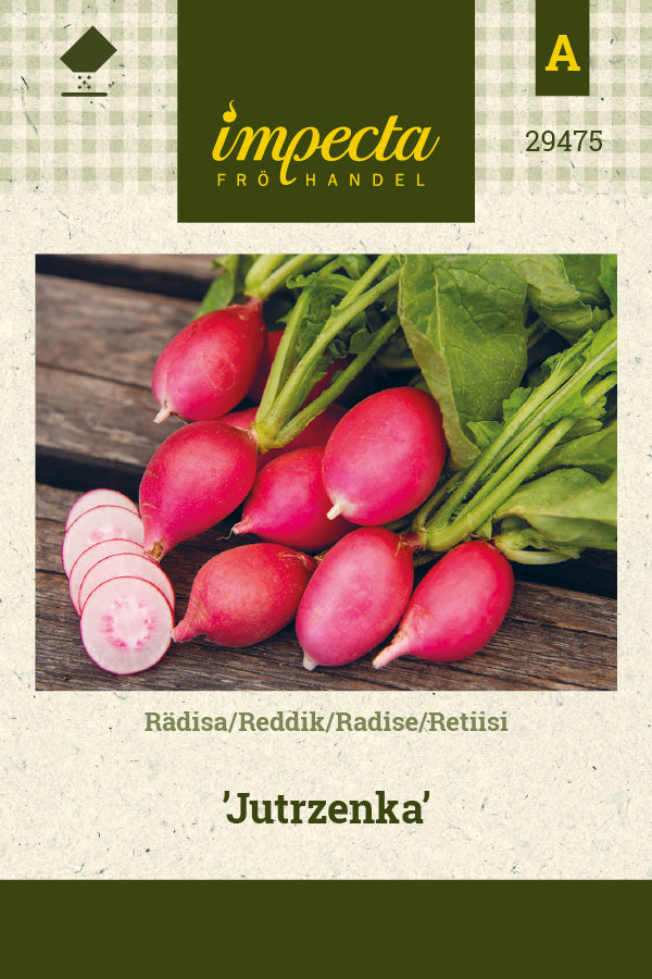Frø: Radise 'Jutrzenka'