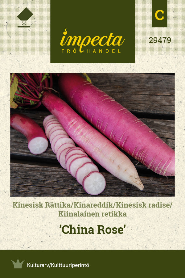 Frø: Kinesisk radise 'China Rose'
