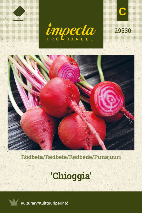 Frø: Rødbede 'Chioggia'