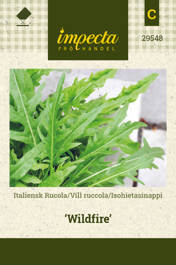Frø: Italiensk Rucola 'Wildfire'