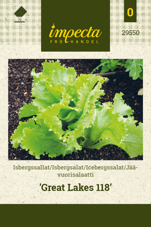 Frø: Icebergsalat 'Great Lakes 118'