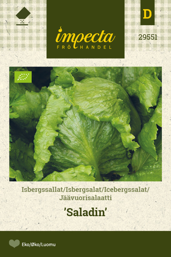 Frø: Icebergsalat 'Saladin'