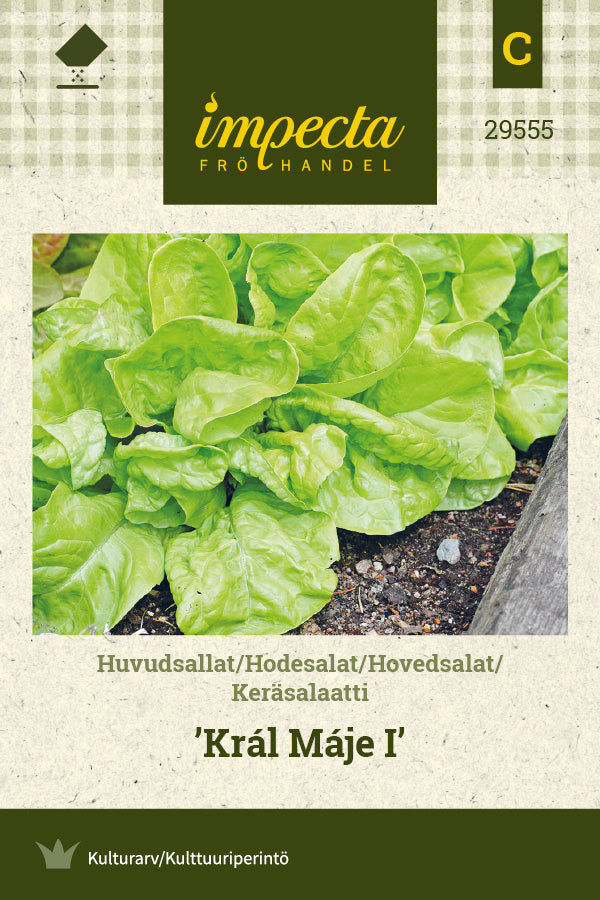 Frø: Hovedsalat 'Král Máje I'