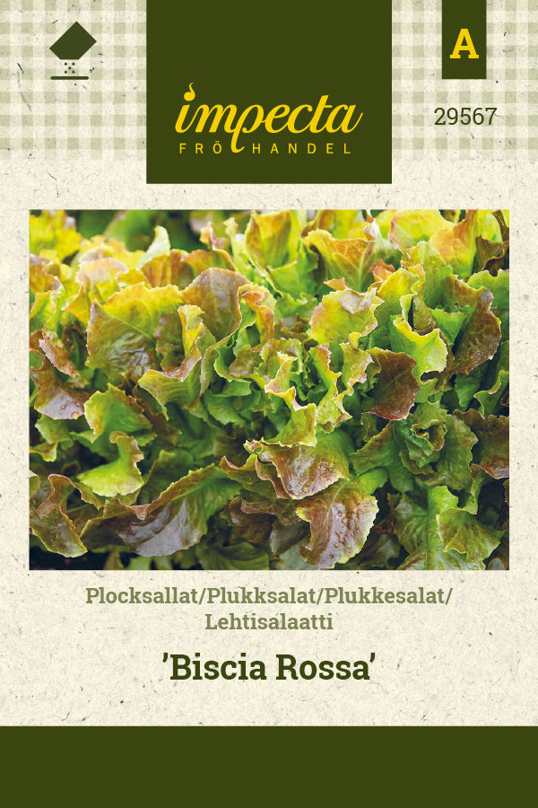 Frø: Pluksalat 'Biscia Rossa'