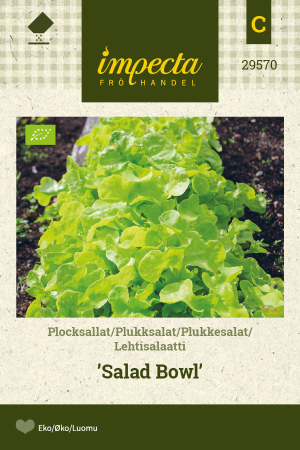 Frø: Plukkesalat 'Salad Bowl'