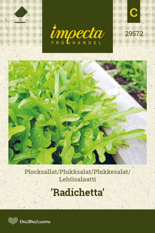 Frø: Plukkesalat 'Radichetta'