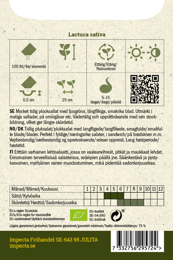 Frø: Plukkesalat 'Radichetta'