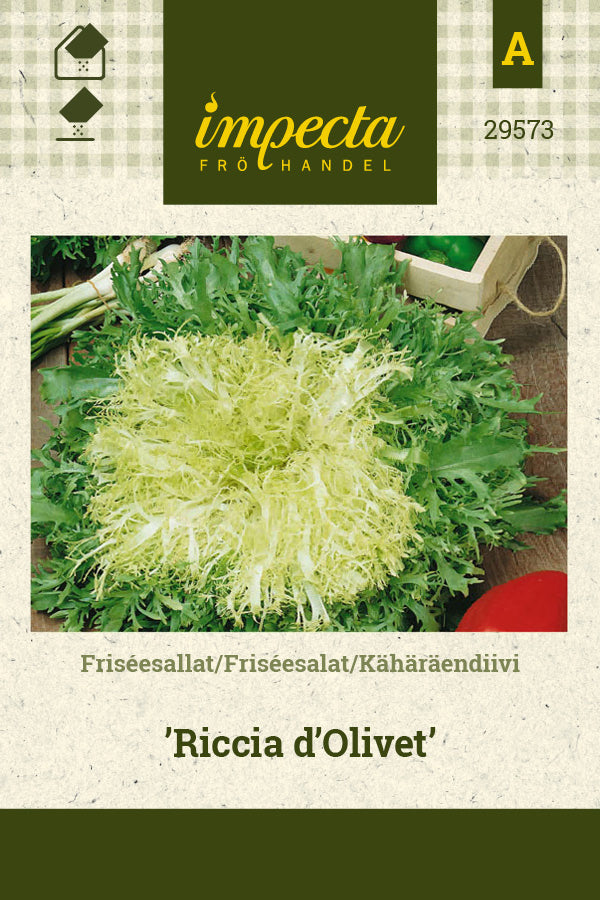 Frø: Friséesalat 'Riccia d'Olivet'