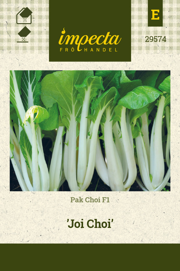 Frø: Pak Choi F1 'Joi Choi'