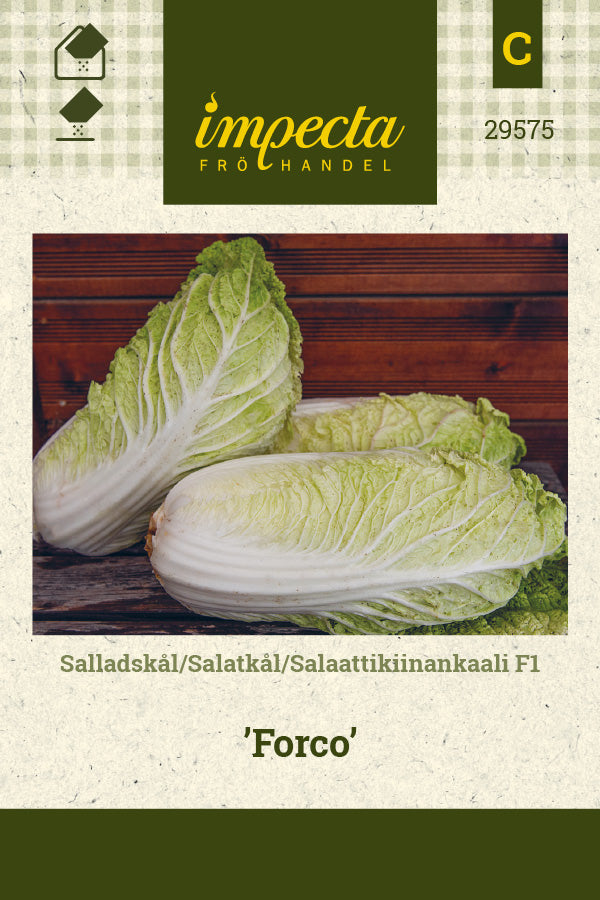 Frø: Salatkål F1 'Forco'