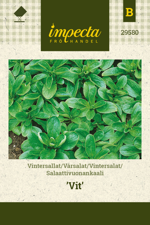 Frø: Vintersalat 'Vit'