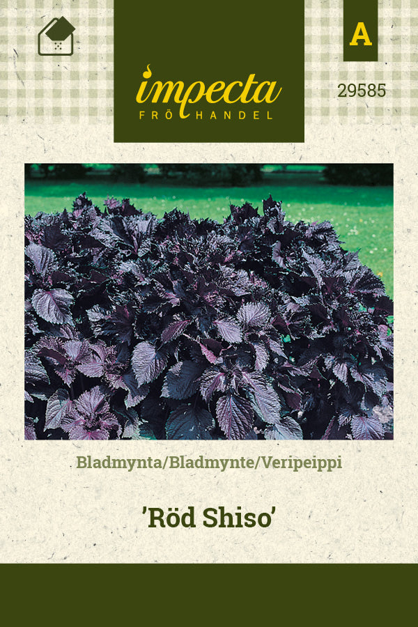 Frø: Bladmynte 'Red Shiso'