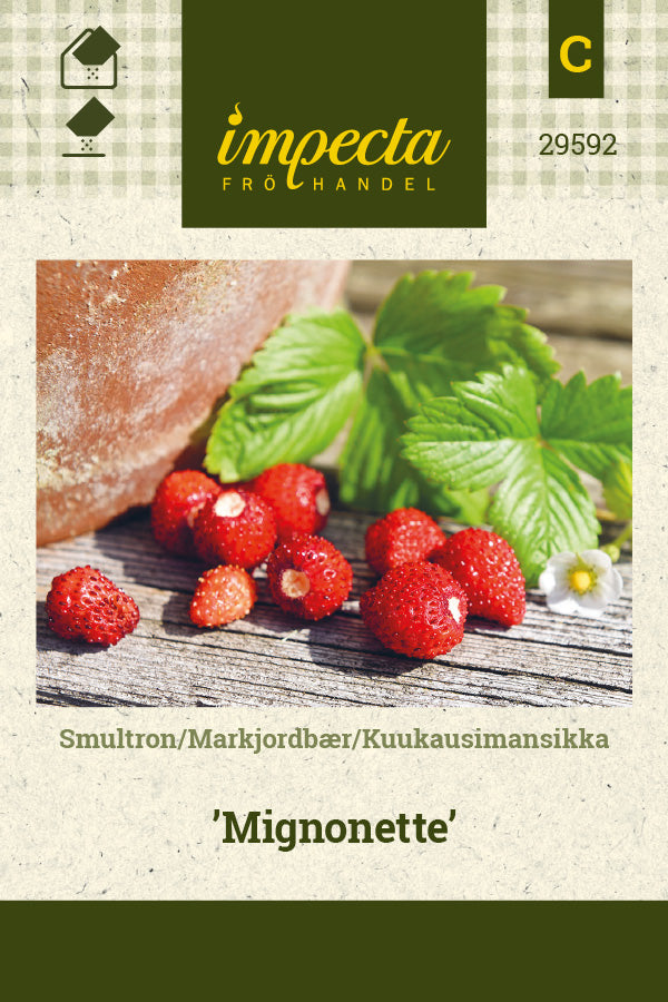 Frø: Skovjordbær 'Mignonette'