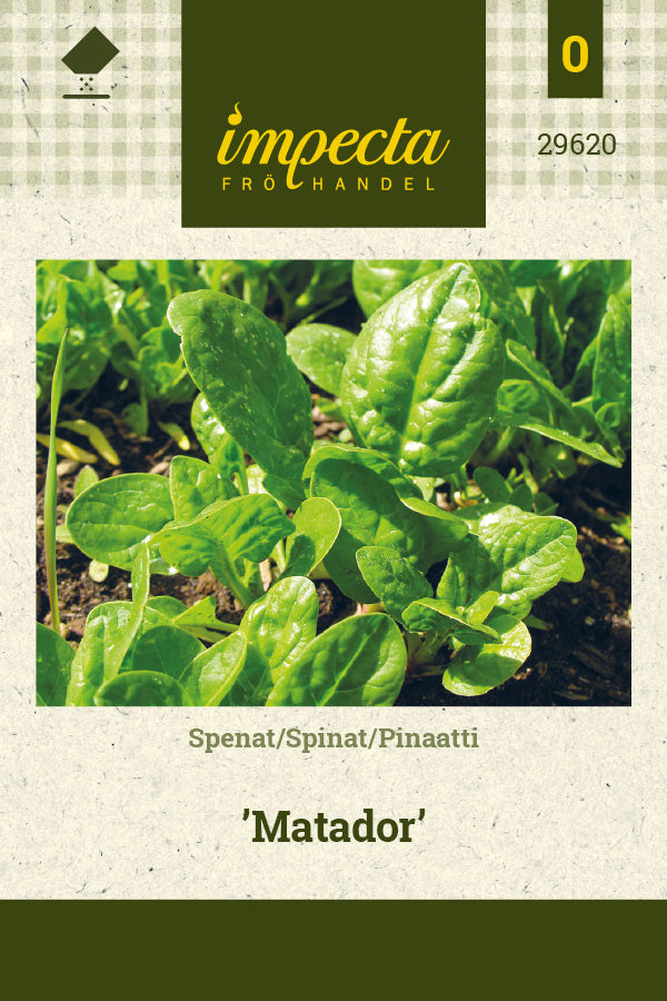 Frø: Spinat 'Matador'