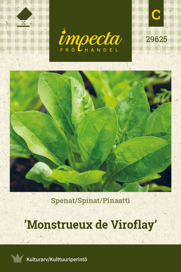 Frø: Spinat 'Monstrueux de Viroflay'