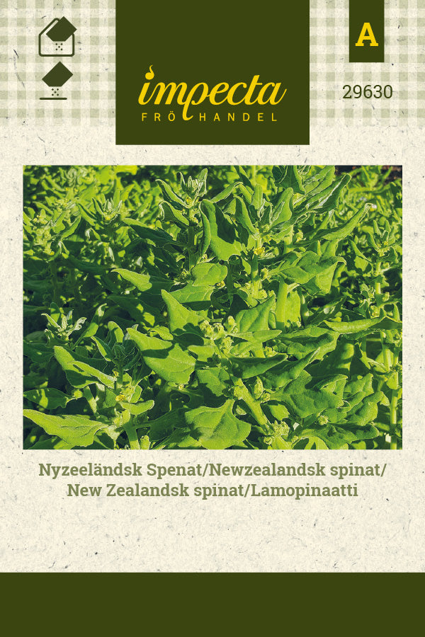 Frø: New Zealandsk spinat
