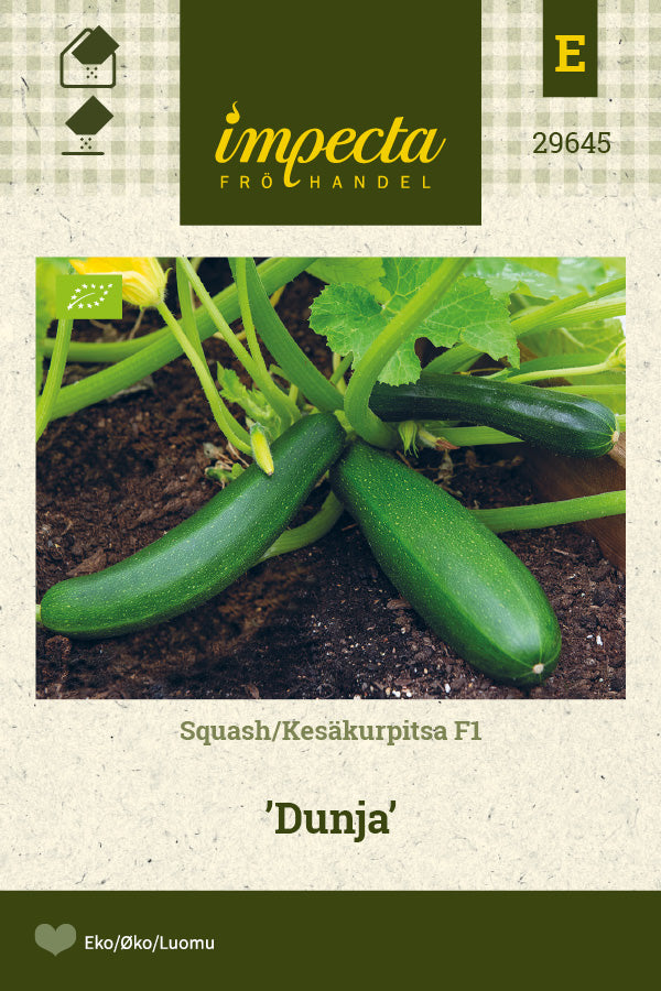 Frø: Squash F1 'Dunja'