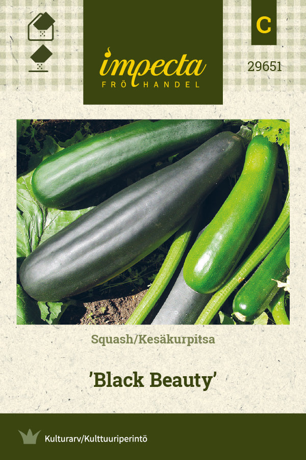 Frø: Squash 'Black Beauty'
