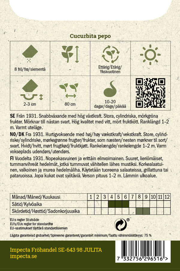 Frø: Squash 'Black Beauty'