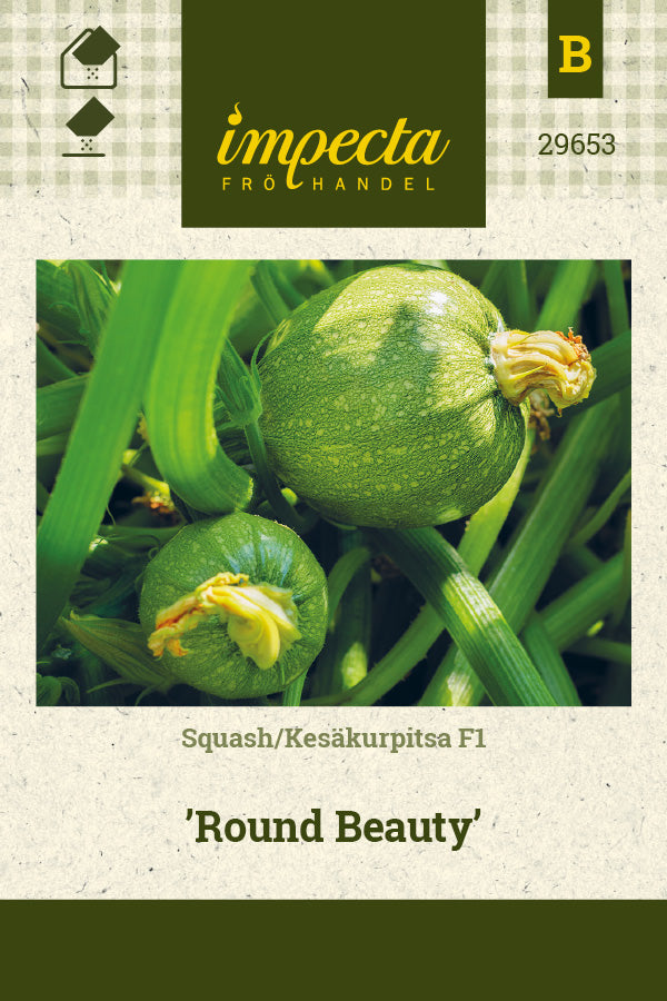 Frø: Squash F1 'Round Beauty'