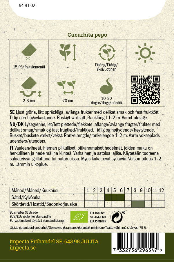 Frø: Squash 'Genovese'