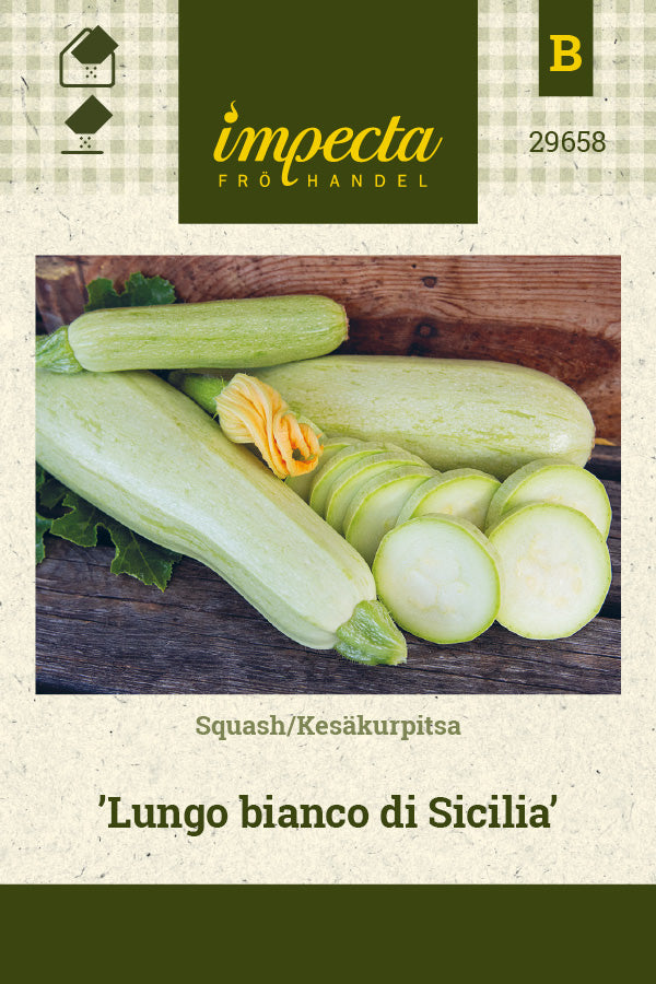Frø: Squash 'Lungo bianco di Sicilia'