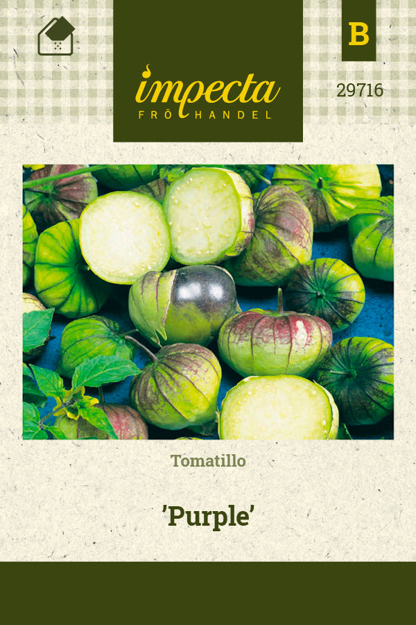 Frø: Tomatillo 'Purple'