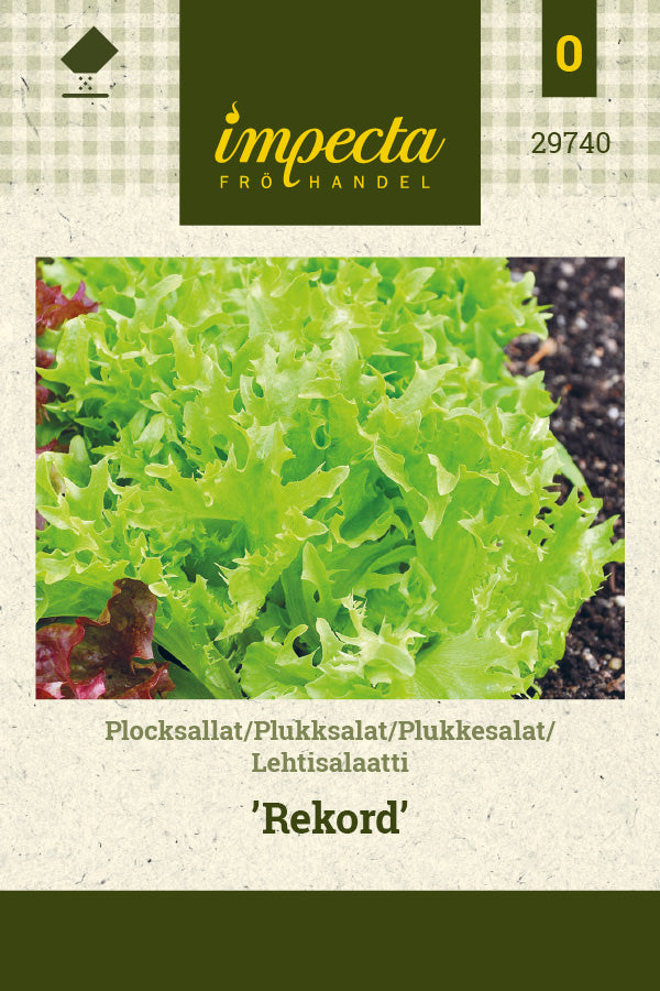 Frø: Plukkesalat 'Record'
