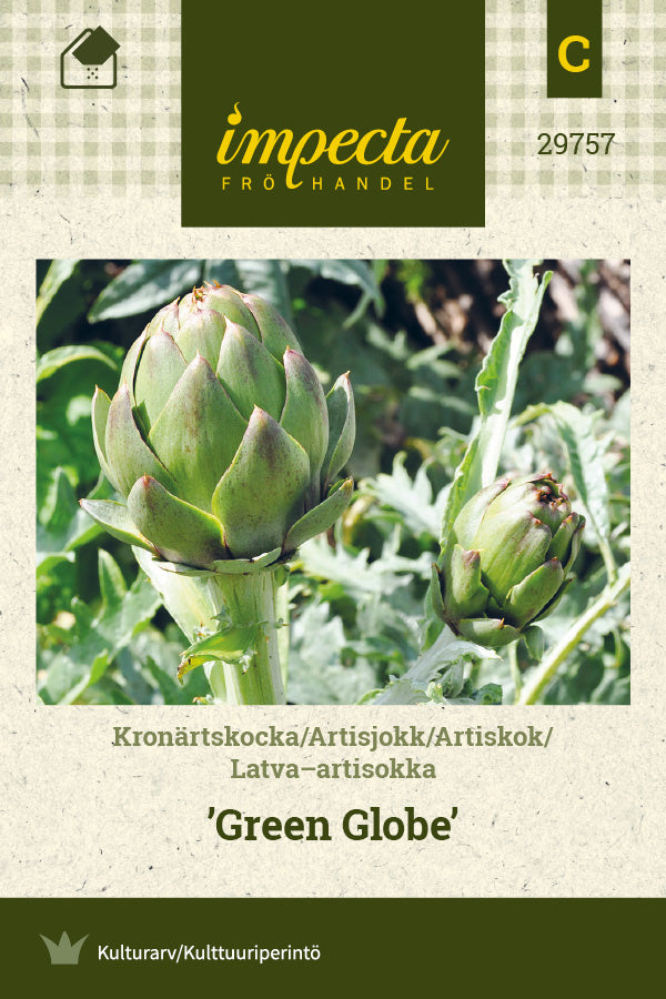 Frø: Artiskok 'Green Globe'