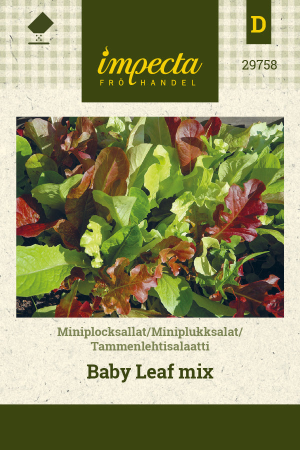 Frø: Minipluksalat Baby Leaf mix
