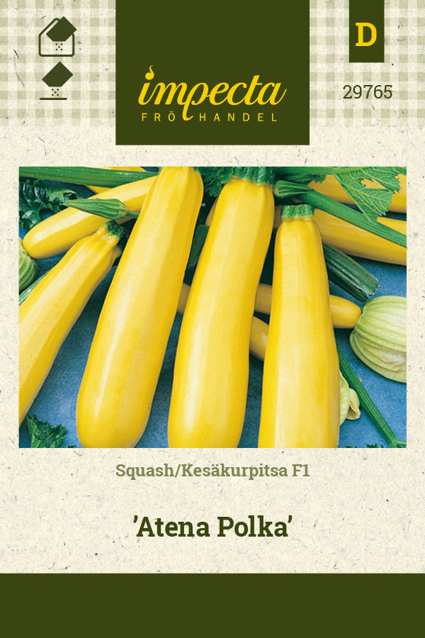 Frø: Squash F1 'Atena Polka'