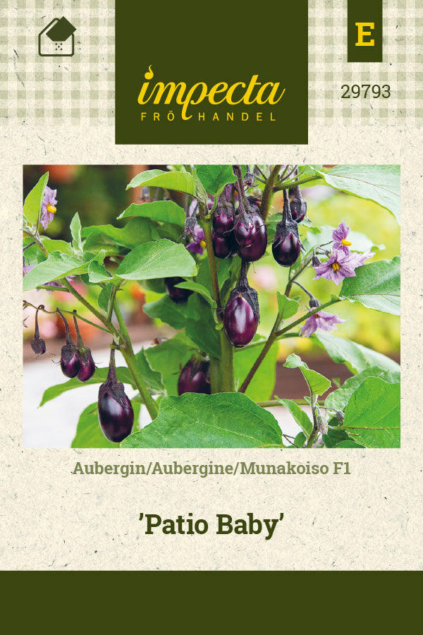 Frø: Aubergine F1 'Patio Baby'