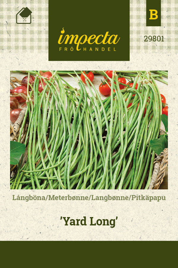 Frø: Langbønne 'Yard Long'