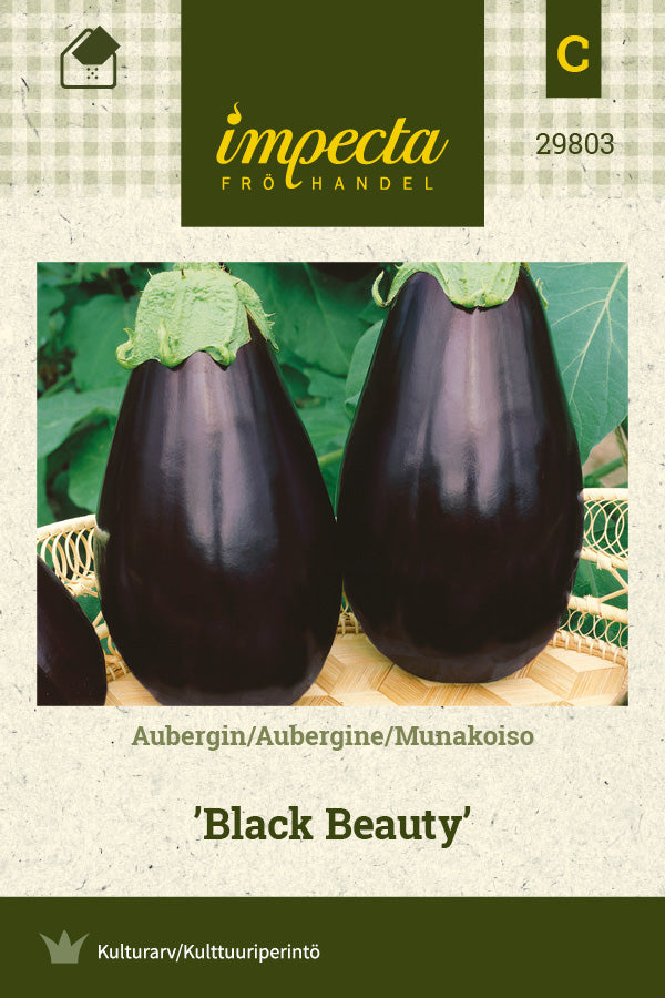 Frø: Aubergine 'Black Beauty'