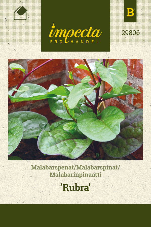 Frø: Malabarspinat 'Rubra'