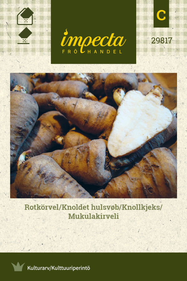 Frø: Kørvelrod