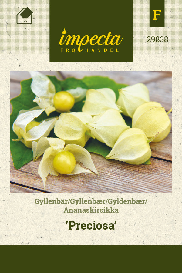 Frø: Gyldenbær 'Preciosa'