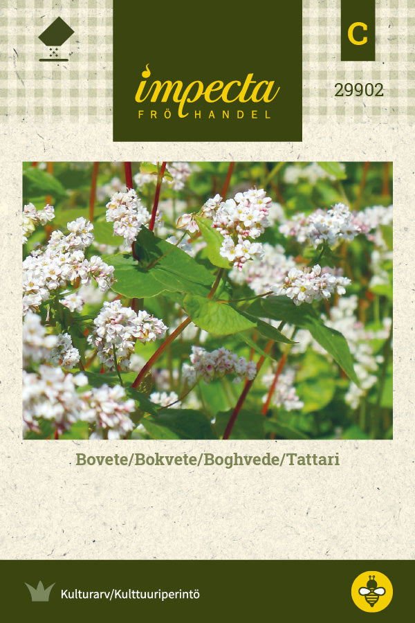 Frø: Boghvede