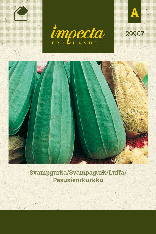 Frø: Luffa
