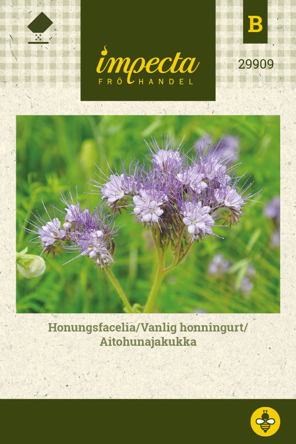 Frø: Honningurt