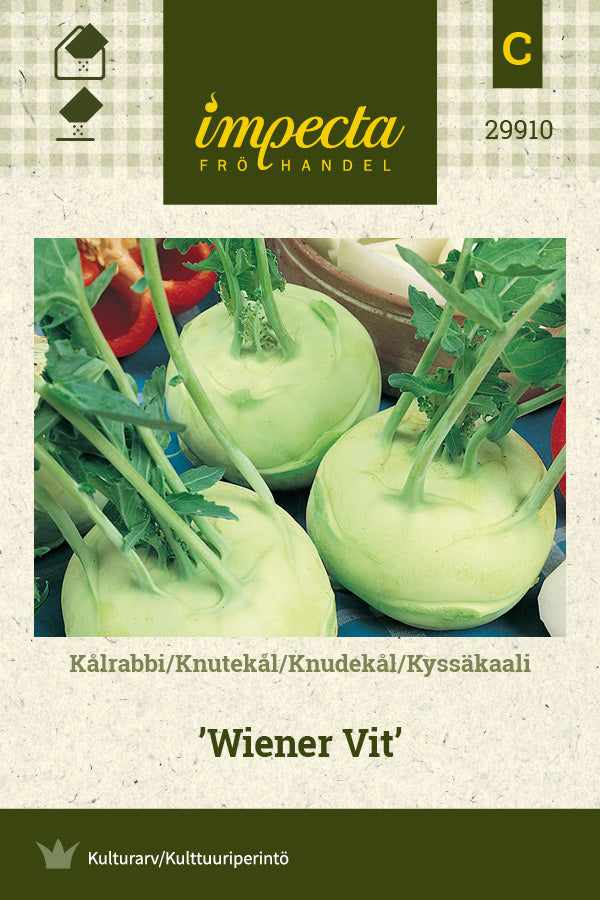 Frø: Knudekål 'Wiener Vit'